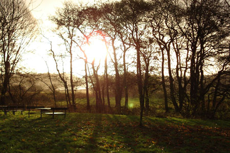 A park near my work