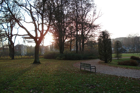 A park near my work