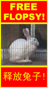 FREE FLOPSY!