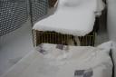 Rabbits in shelter from the snow